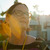 Cathycallahan_profile-1