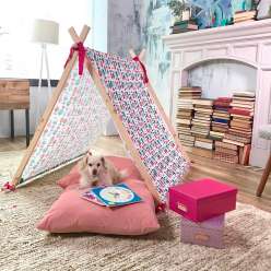Customized Play Tent: 1/10/2017