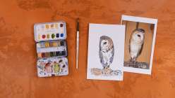 An overhead image of an owl and a monoprinted owl alongside a watercolor palette and a size 8 watercolor brush.