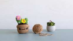 A stuffy, a ball of yarn, and a tiny succulent from Vincent Green-Hite's Crochet an Amigurumi Potted Cactus Creativebug class