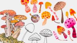 Mixtape: 5 Ways to Make a Toadstool