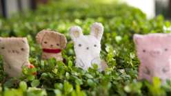 Learn how to make farm animal finger puppets with Alison of Kata Golda in this kids crafting class. Puppet patterns include making a dog, cat, pig, chick, and bunny in this craft project for children.
