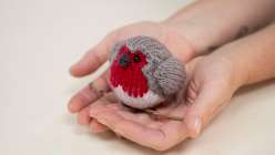 A knit robin sitting in a pair of hands made in Megan Reiner's Creativebug class.