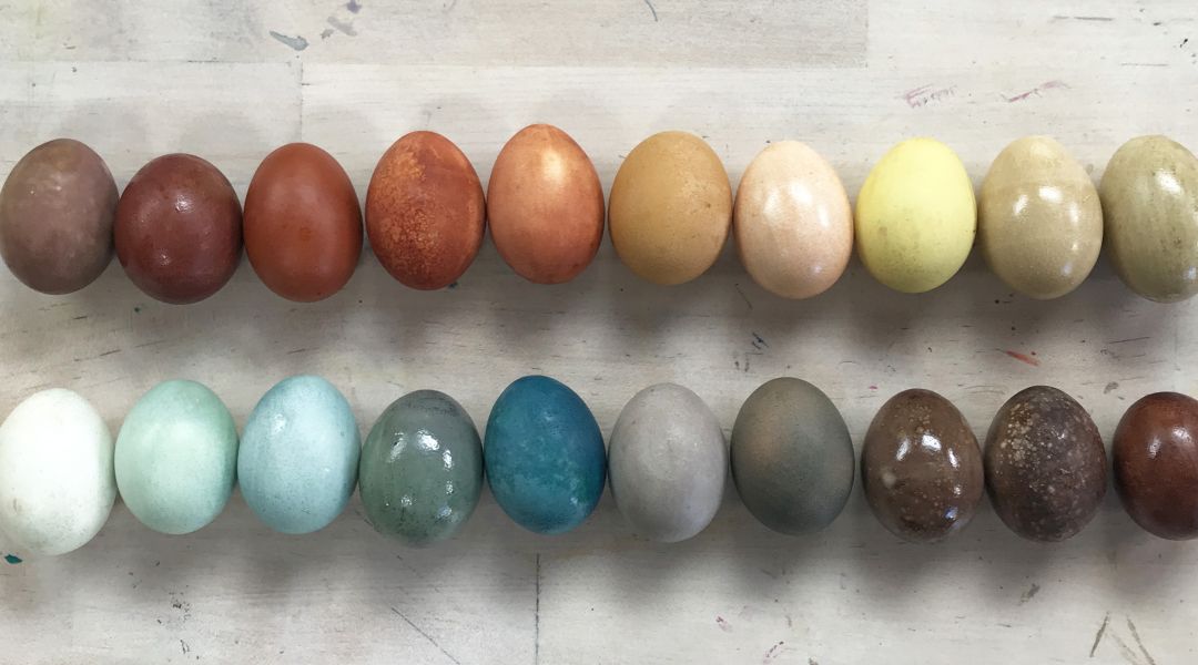 Naturally Dyed Easter Eggs: 3/27/18
