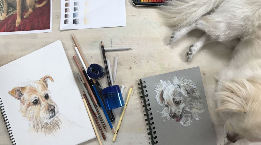 Colored Pencil Pet Portraits: 5/8/18