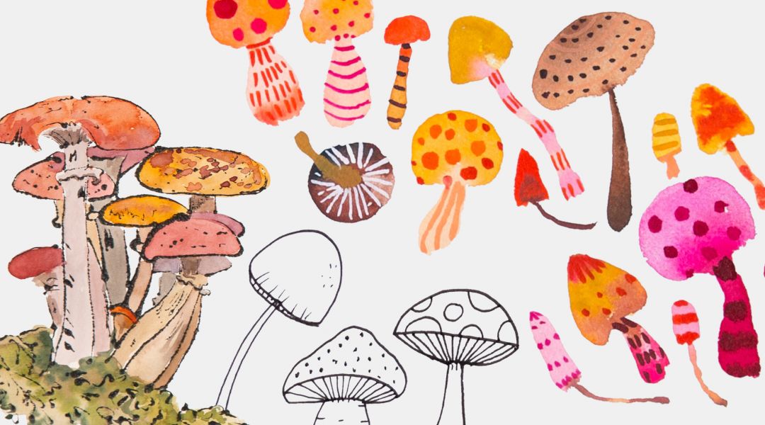 Mixtape: 5 Ways to Make a Toadstool