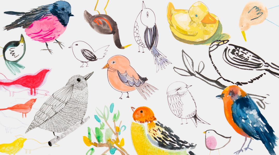 Mixtape: 7 Ways to Paint and Draw Birds