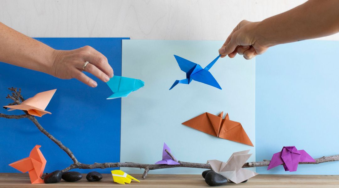 Origami Safari: A Daily Practice