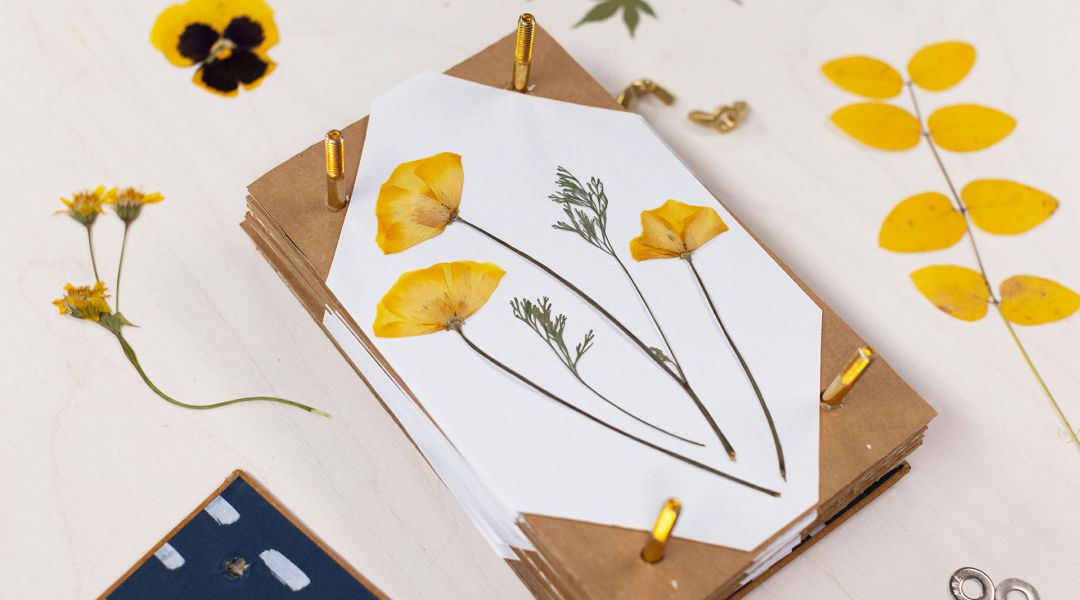 Make an Upcycled Flower Press