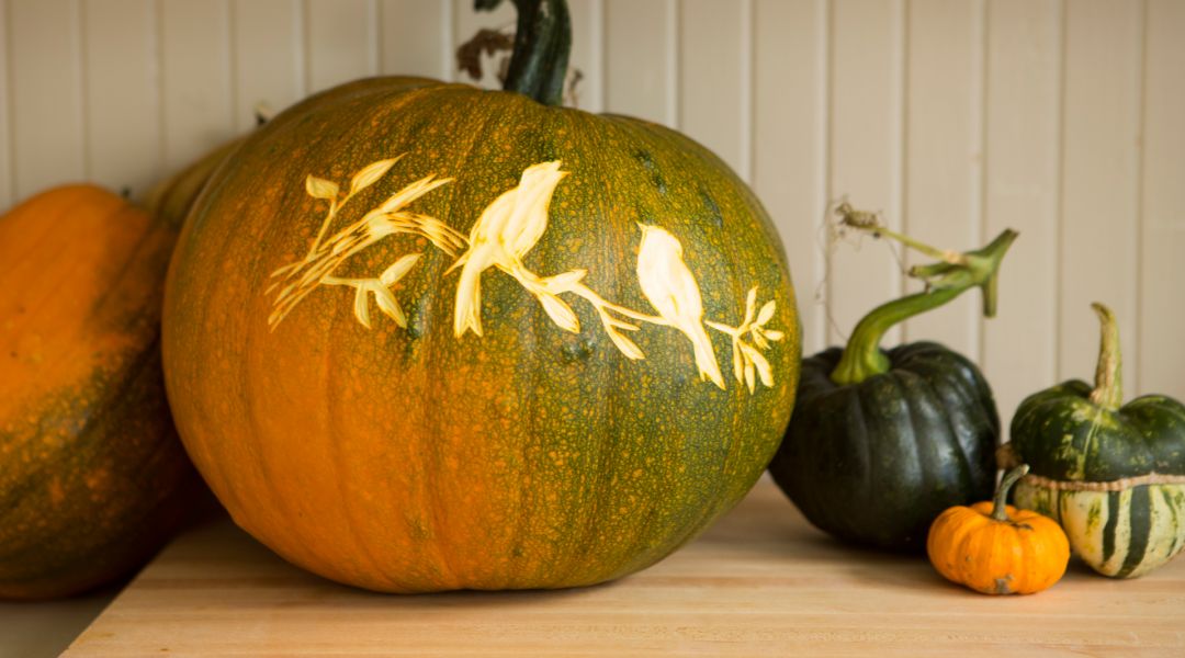 Courtney Cerruti teaches this class with techniques from printmaking to create carved pumpkin designs. You’ll have DIY Halloween ideas for silhouettes, glitter for your DIY Halloween party decorations. - Creativebug