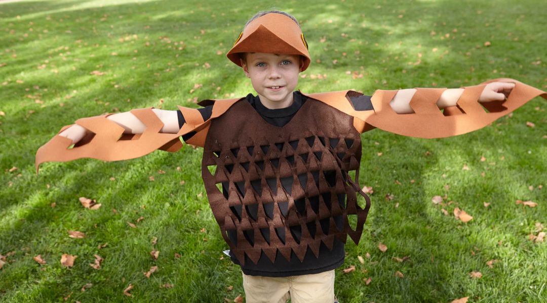 Last-Minute Halloween Costume: Felt Owl