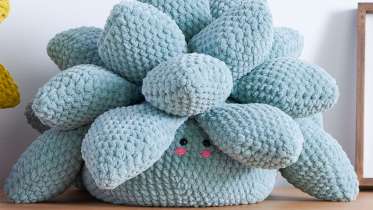 Spiky Succulent Crochet Amigurumi