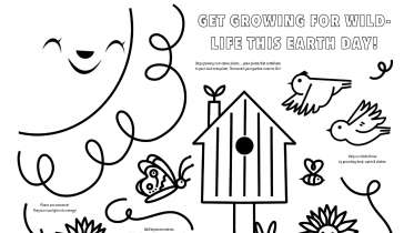 Celebrate Earth Day Coloring Page