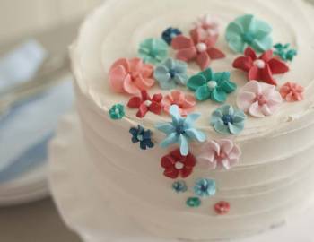 The Wilton Method of Cake Decorating Series