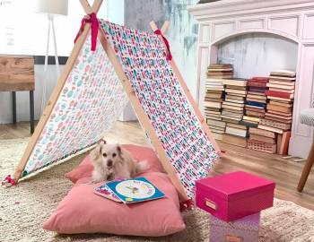 Customized Play Tent: 1/10/2017