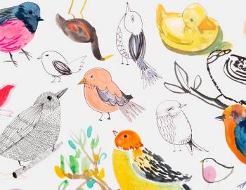Mixtape: 7 Ways to Paint and Draw Birds