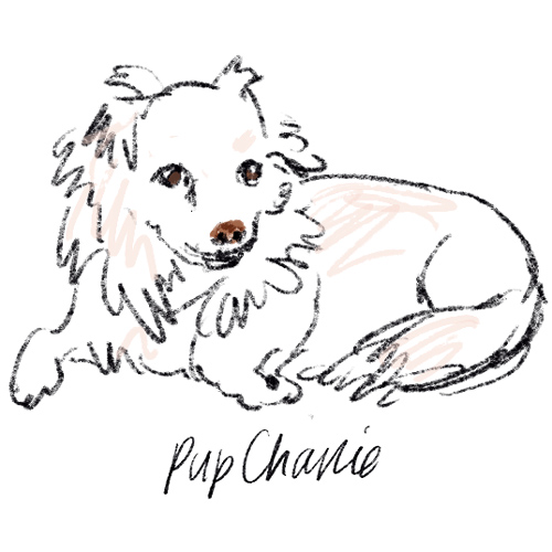 Illustration of Charlie the dog