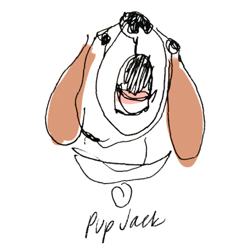 Illustration of Jack the dog